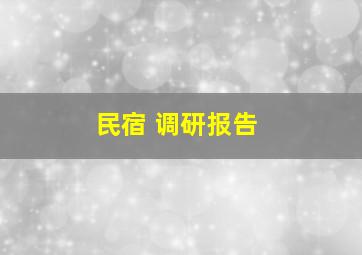 民宿 调研报告